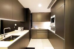 Cairnhill Nine (D9), Apartment #509690831